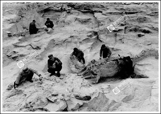 四川70年代老照片图库,四川老照片100张图片