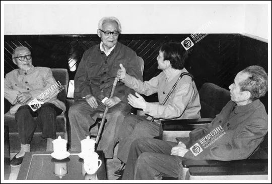 四川70年代老照片图库,四川老照片100张图片