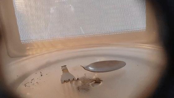 这8种东西绝不能放进微波炉,绝对不能放进微波炉的食物