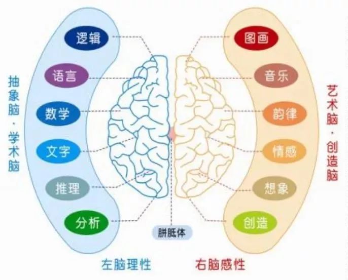 预告|真正来自南极深海的银鳕鱼100%有机棉韩国明星儿童内衣让孩子远离电视的《全脑思维游戏书》