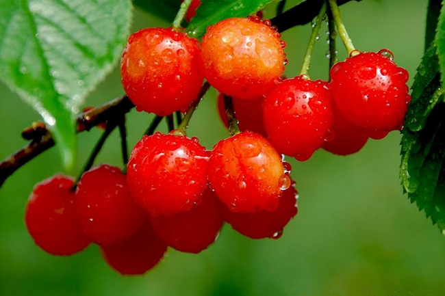 壮丽70年奋进新时代资料,壮丽70年的伟大变化