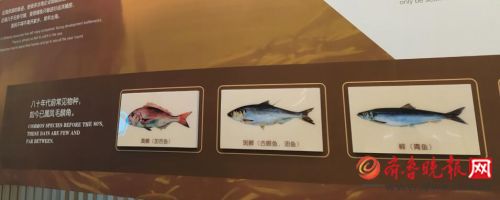 行走海岸线｜荣成有个青鱼滩，鱼群曾多到插竿不倒