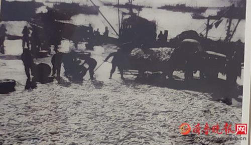 行走海岸线｜荣成有个青鱼滩，鱼群曾多到插竿不倒