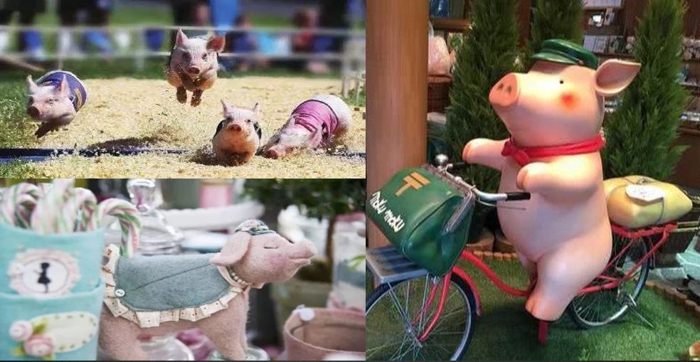 乡村振兴100个盈利模式,乡村振兴项目包括生态农庄