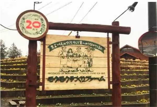 乡村振兴100个盈利模式,乡村振兴项目包括生态农庄