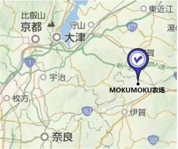 乡村振兴100个盈利模式,乡村振兴项目包括生态农庄