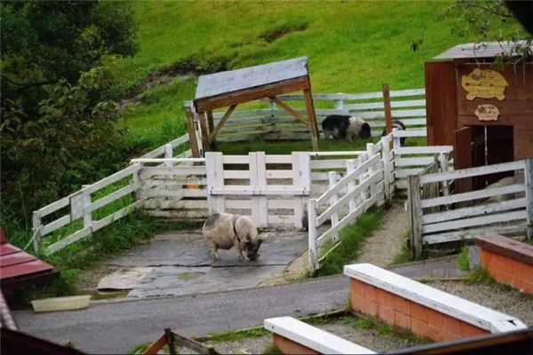 乡村振兴100个盈利模式,乡村振兴项目包括生态农庄