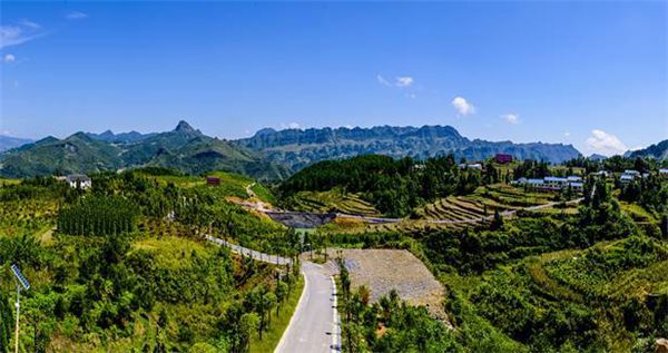 乡村振兴100个盈利模式,乡村振兴项目包括生态农庄