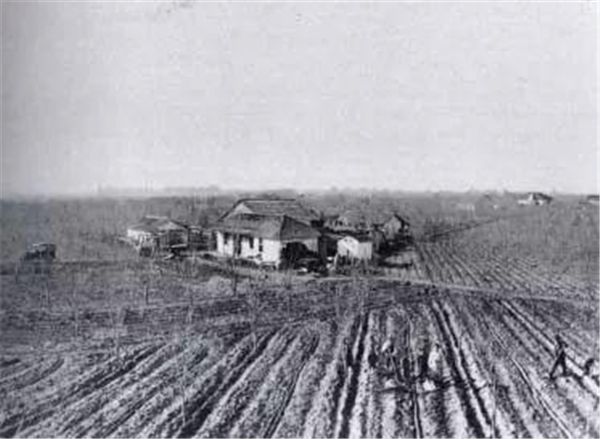 乡村振兴100个盈利模式,乡村振兴项目包括生态农庄