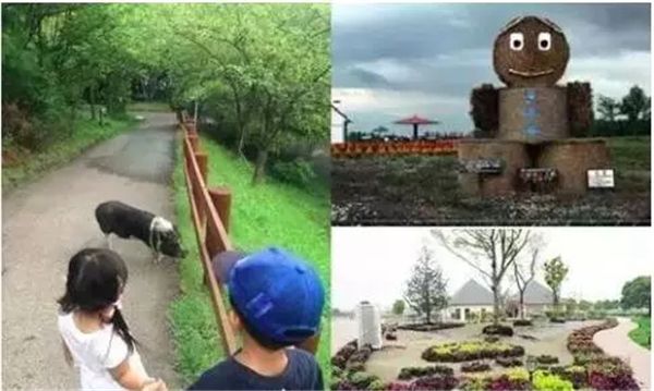 乡村振兴100个盈利模式,乡村振兴项目包括生态农庄