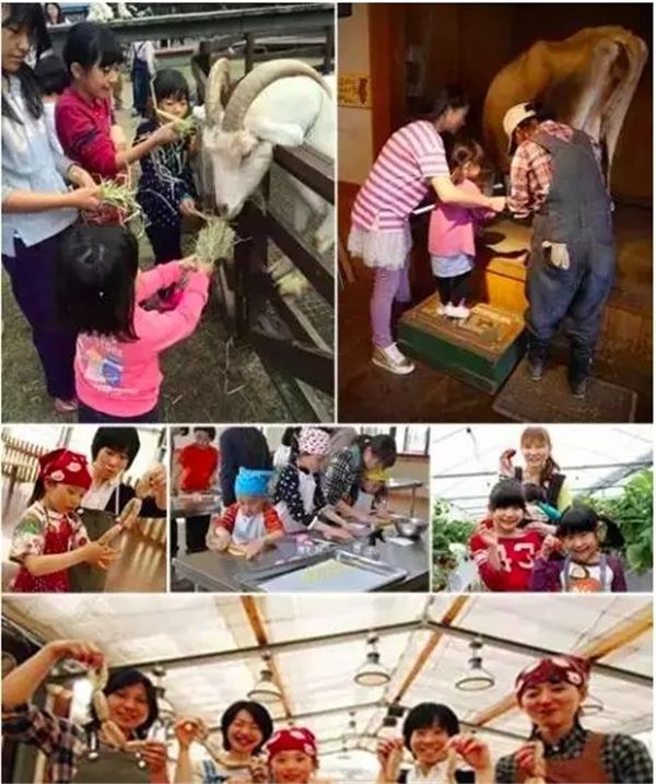 乡村振兴100个盈利模式,乡村振兴项目包括生态农庄