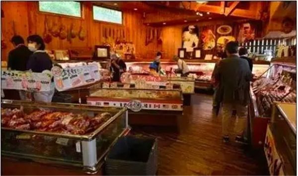 乡村振兴100个盈利模式,乡村振兴项目包括生态农庄