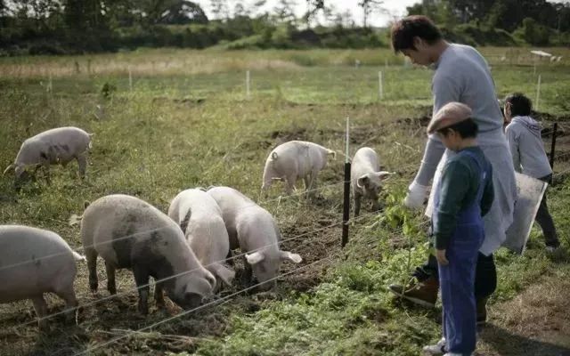 乡村振兴100个盈利模式,乡村振兴项目包括生态农庄