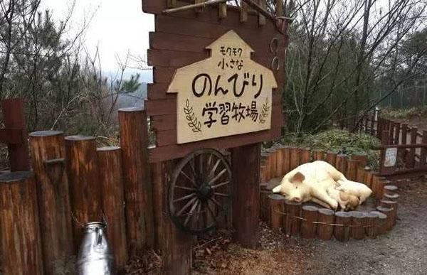 乡村振兴100个盈利模式,乡村振兴项目包括生态农庄