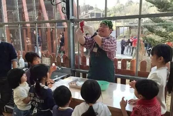 乡村振兴100个盈利模式,乡村振兴项目包括生态农庄