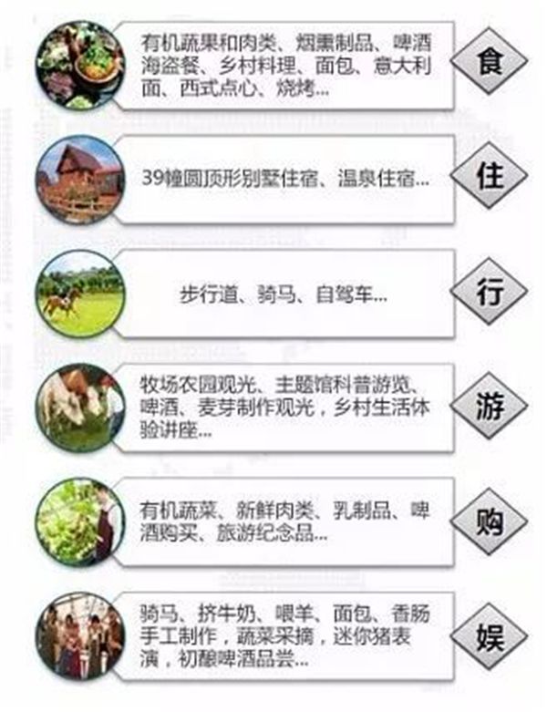乡村振兴100个盈利模式,乡村振兴项目包括生态农庄