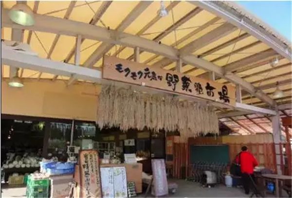 乡村振兴100个盈利模式,乡村振兴项目包括生态农庄