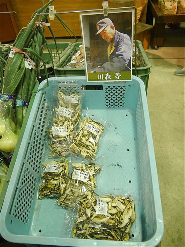 乡村振兴100个盈利模式,乡村振兴项目包括生态农庄