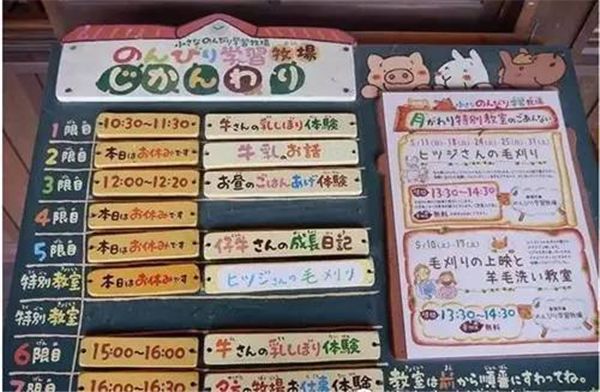 乡村振兴100个盈利模式,乡村振兴项目包括生态农庄