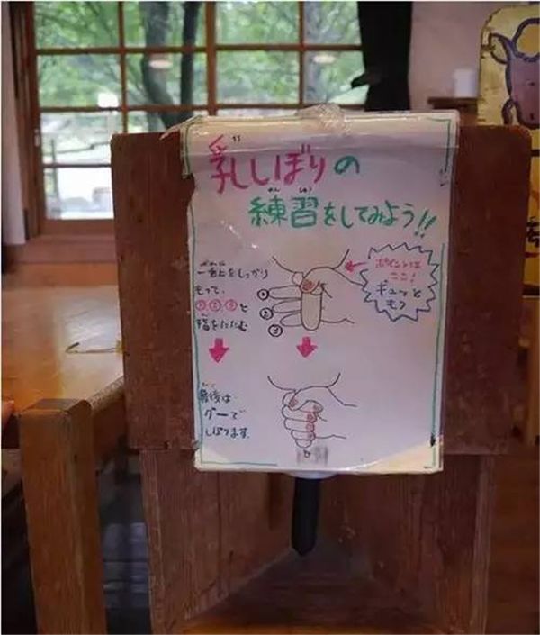 乡村振兴100个盈利模式,乡村振兴项目包括生态农庄