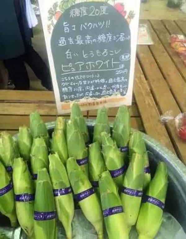 乡村振兴100个盈利模式,乡村振兴项目包括生态农庄