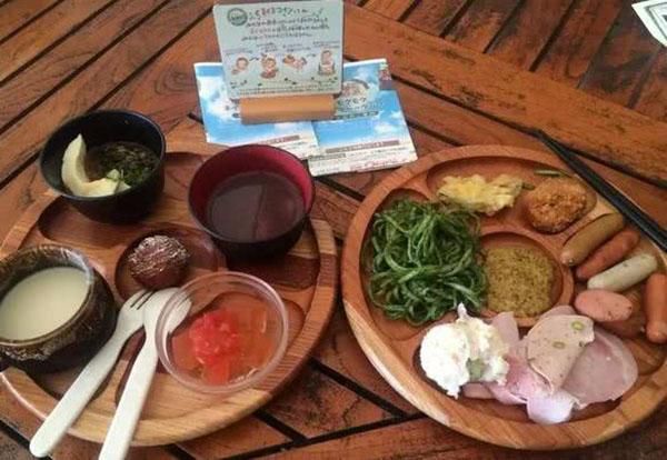 乡村振兴100个盈利模式,乡村振兴项目包括生态农庄