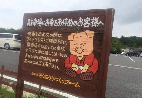 乡村振兴100个盈利模式,乡村振兴项目包括生态农庄