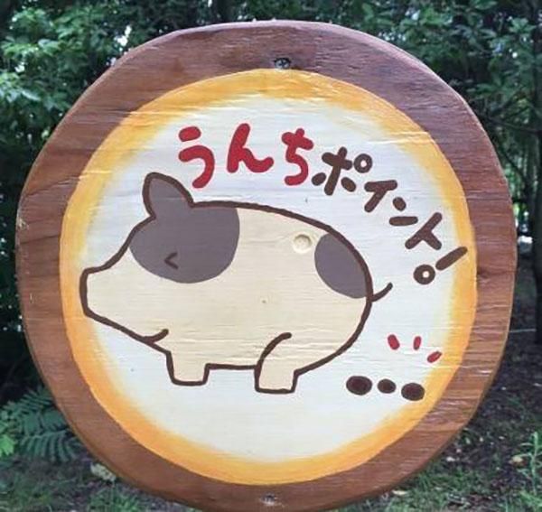 乡村振兴100个盈利模式,乡村振兴项目包括生态农庄