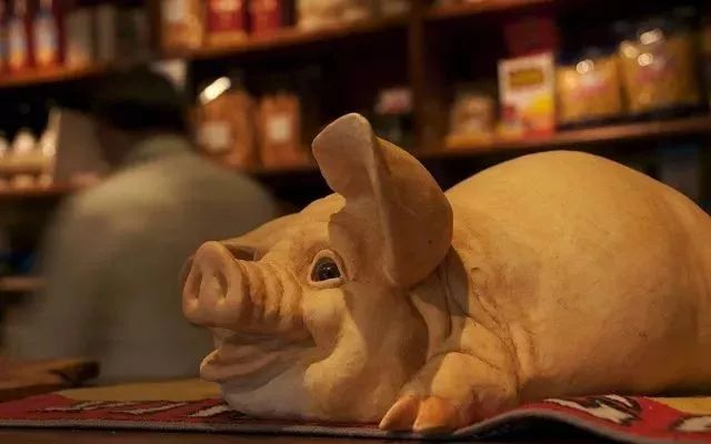 乡村振兴100个盈利模式,乡村振兴项目包括生态农庄