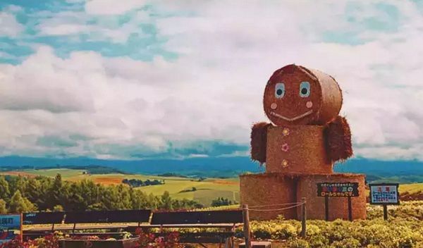 乡村振兴100个盈利模式,乡村振兴项目包括生态农庄