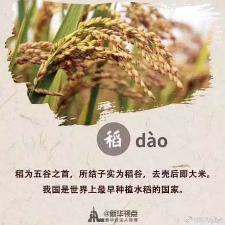 秋分节气是中国的农民丰收节,中国农民丰收节秋分2022年