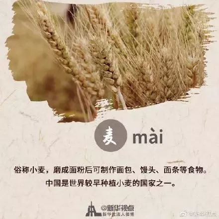 秋分节气是中国的农民丰收节,中国农民丰收节秋分2022年