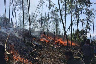 遇到火灾怎么逃生,发生火灾遇有浓烟时应如何逃生