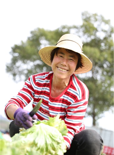 美菜网武昌区销售,美菜网高端冷链生鲜仓储物流中心