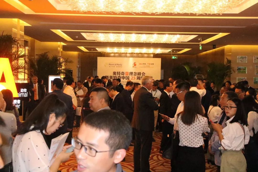 蛋禽养殖前景怎样,蛋种鸡行业