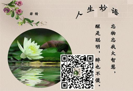 你羡慕的人有哪些,你羡慕的人每天在手机上看什么