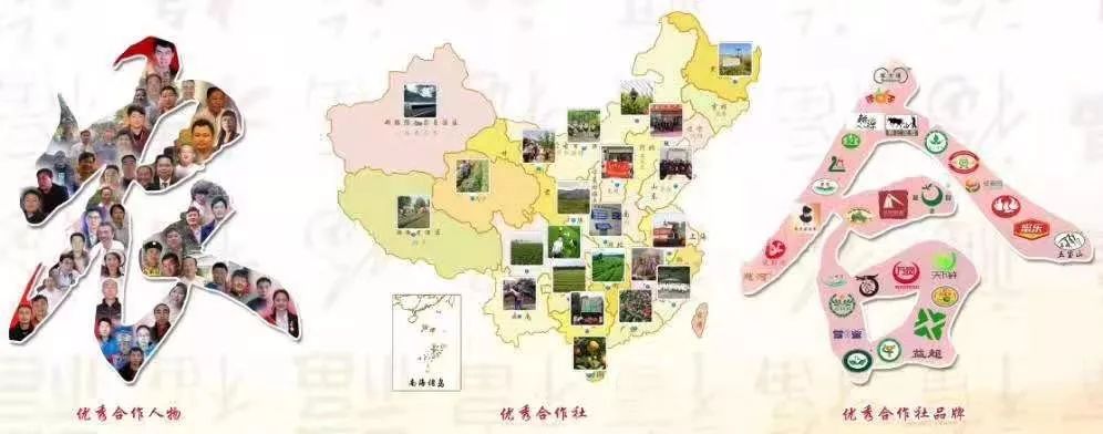 第八批农业产业化重点龙头企业,农业农村产业化国家重点龙头