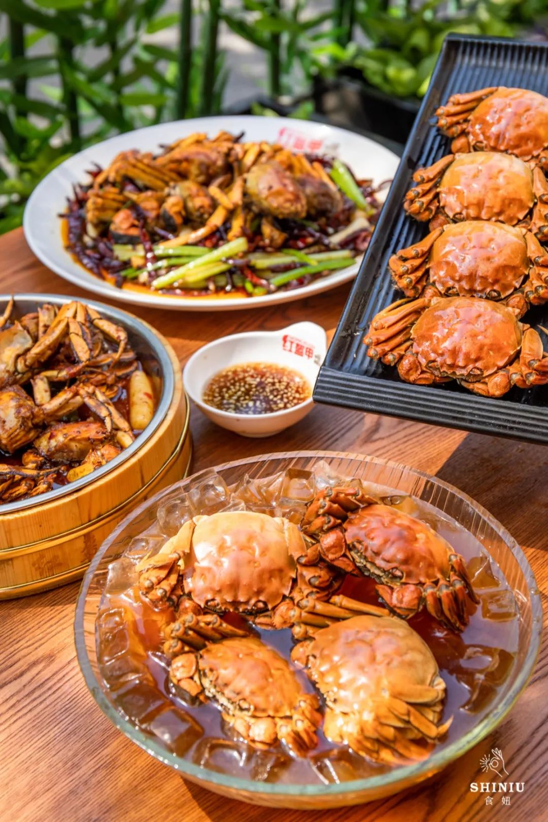 爆黄大闸蟹优惠,5.9大闸蟹