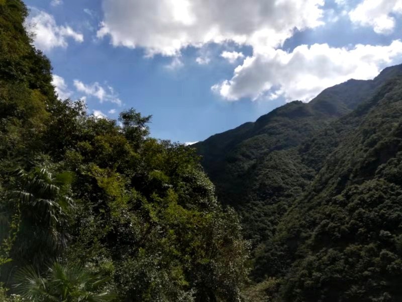 徽杭古道两天一晚来回徒步攻略,一日徽杭古道徒步攻略