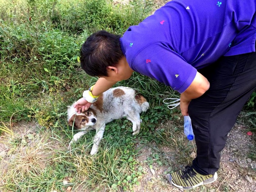 徽杭古道两天一晚来回徒步攻略,一日徽杭古道徒步攻略