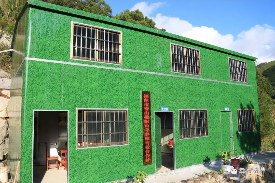 巧念“羊经”发“羊财”，嵛山镇的这本“脱贫致富经”一定要看