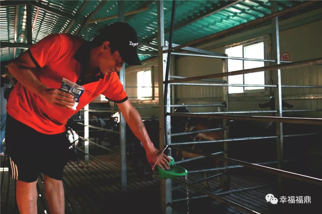 巧念“羊经”发“羊财”，嵛山镇的这本“脱贫致富经”一定要看