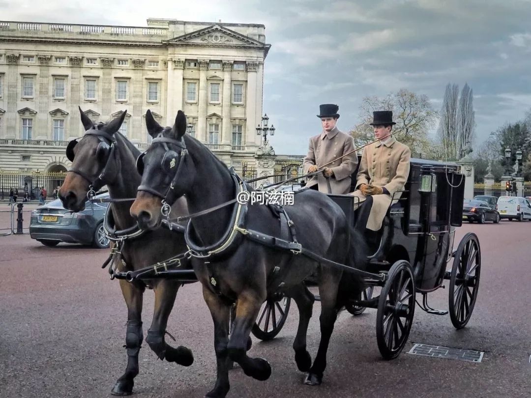 从书中读懂生活感悟,从读万卷书行万里路得到的启发