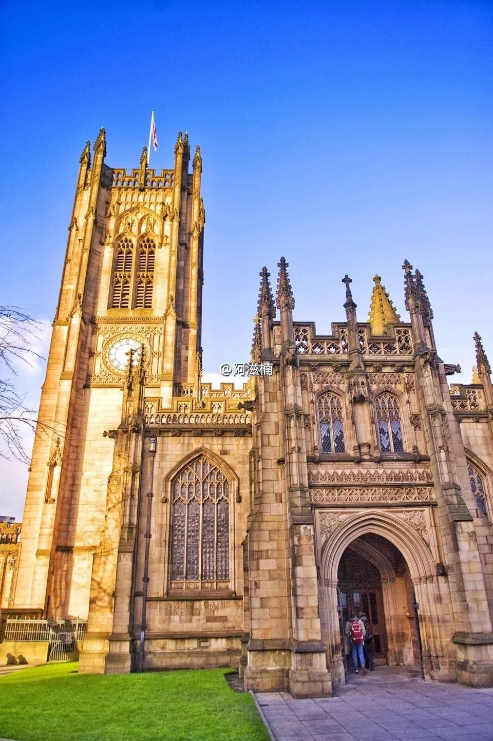 从书中读懂生活感悟,从读万卷书行万里路得到的启发