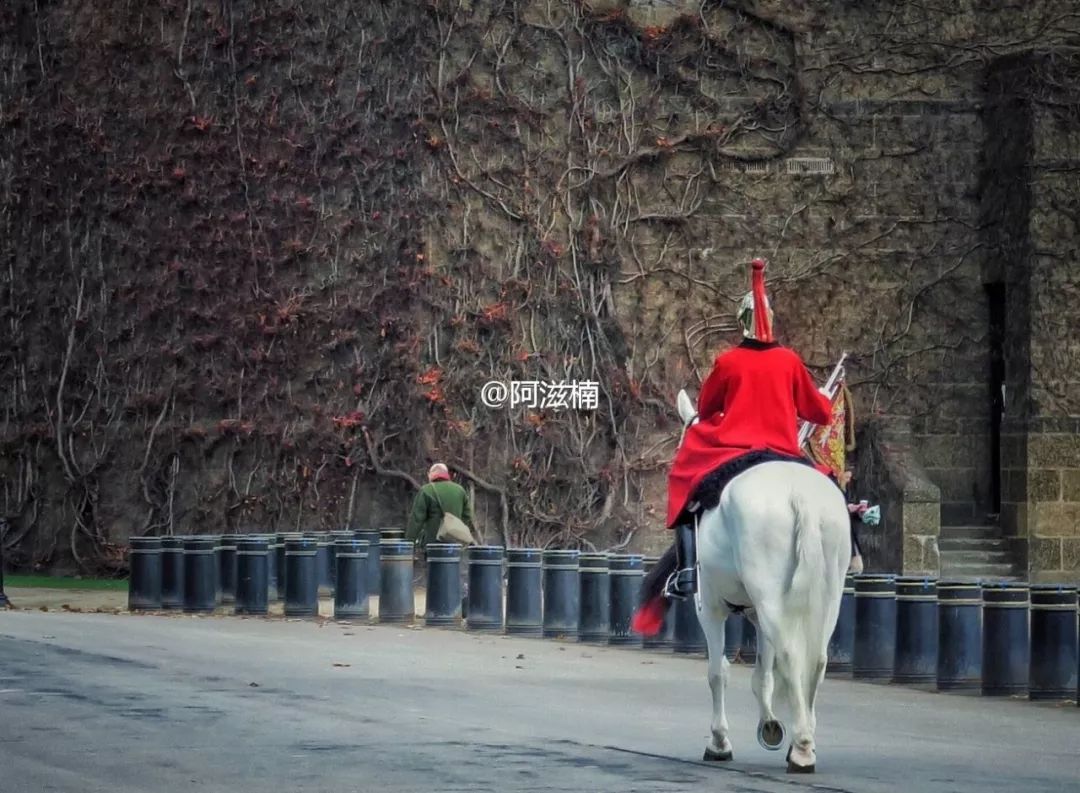 从书中读懂生活感悟,从读万卷书行万里路得到的启发