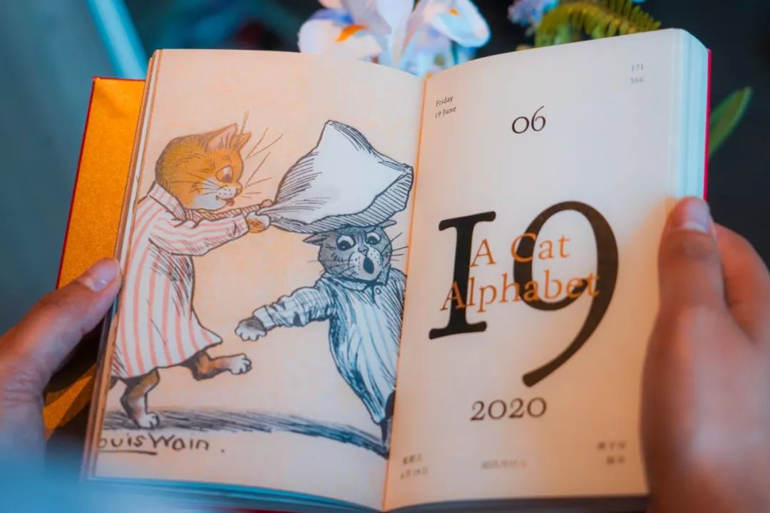 从书中读懂生活感悟,从读万卷书行万里路得到的启发