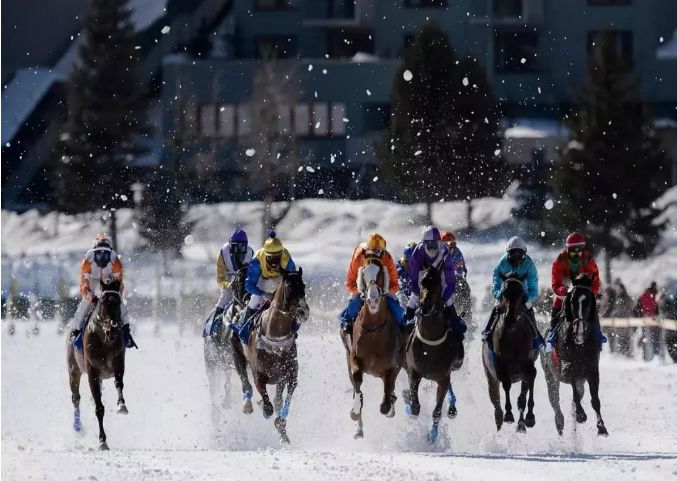 赛马节有什么玩,世界赛马比赛最有名的