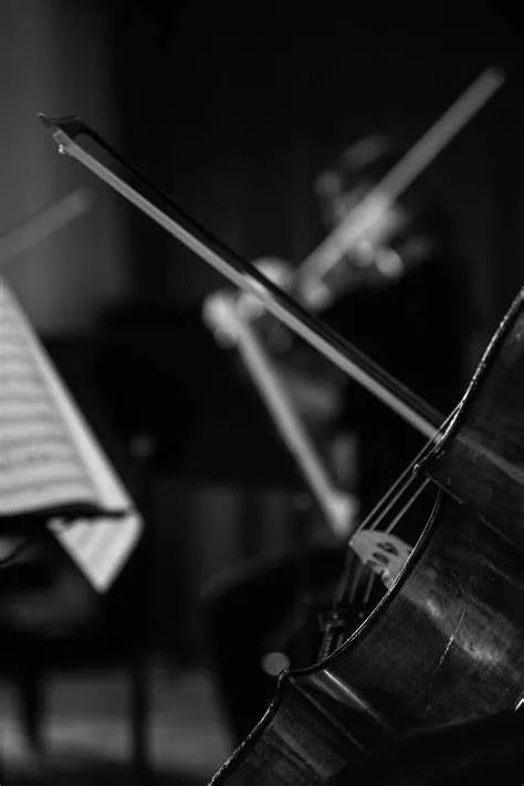 十首温柔流淌的古典音乐,一听前奏就让你心醉神迷