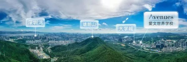 广东省国际学校排名一览表最新,广东国际学校最新排名