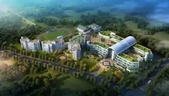 广东省国际学校排名一览表最新,广东国际学校最新排名